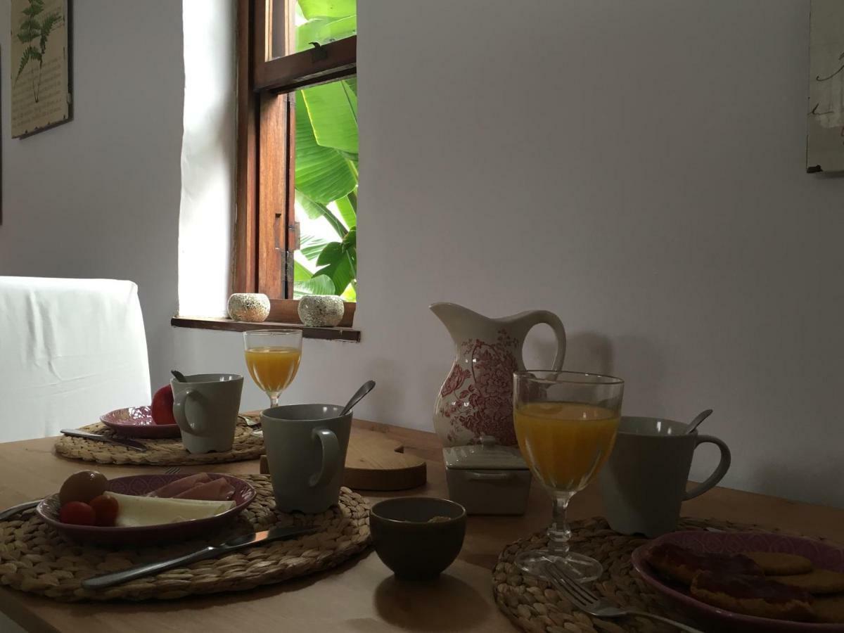 La Casita De Palmas Vv